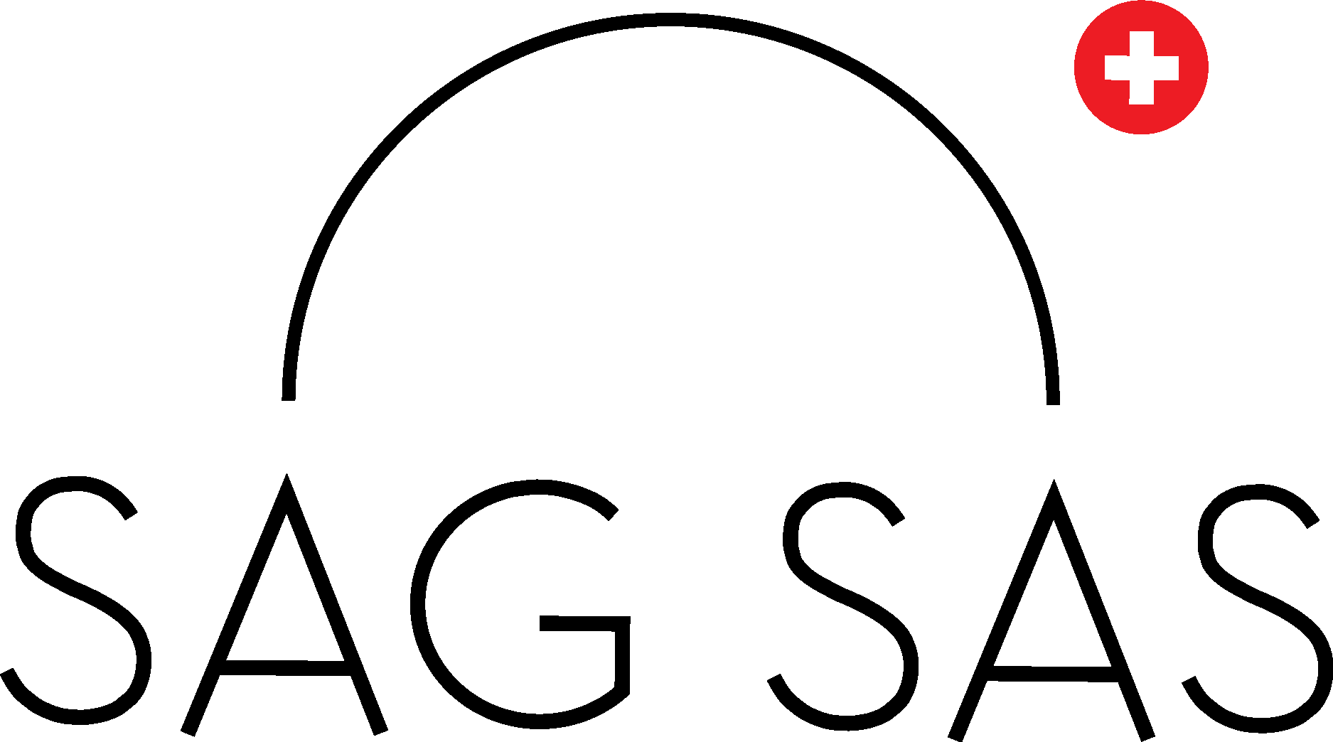 Schweizerische Astronomische Gesellschaft Logo Vector Logo